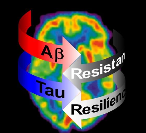 Mechanisms of resistance to AD